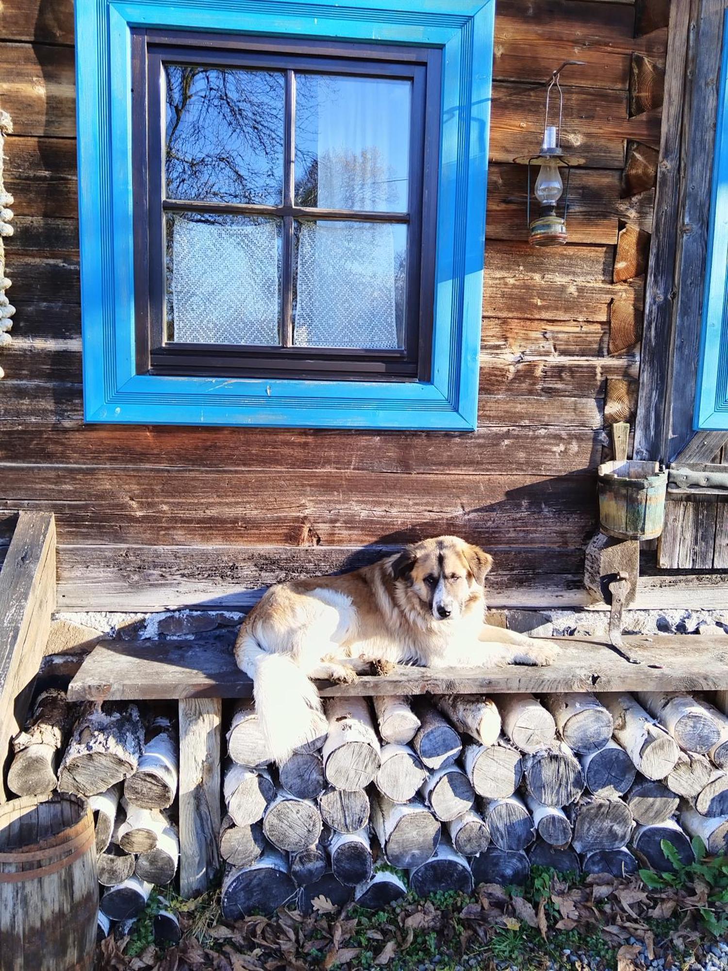 Small Apartment In Breb S Cosy Barn 客房 照片